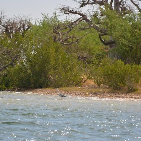Sine-Saloum Le Pelican Du Saloum מראה חיצוני תמונה